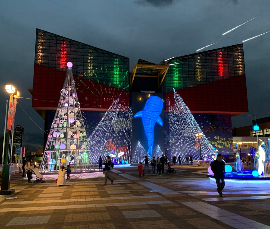Christmas display at the Osaka aquarium