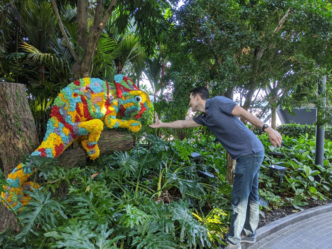 IMG 20200124 175245 geqhjs