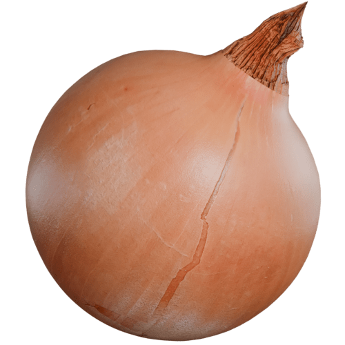 Large onion