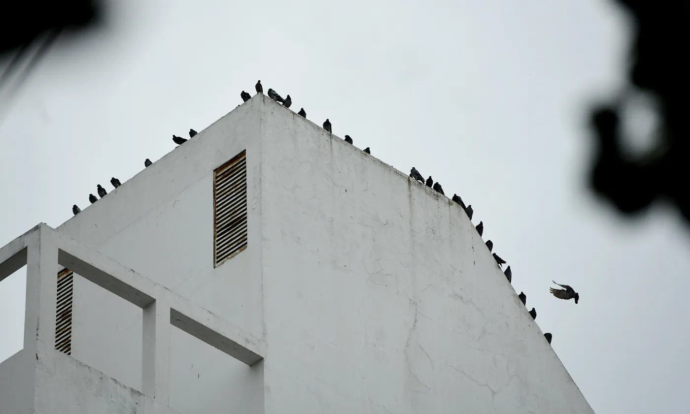 Clima La Plata