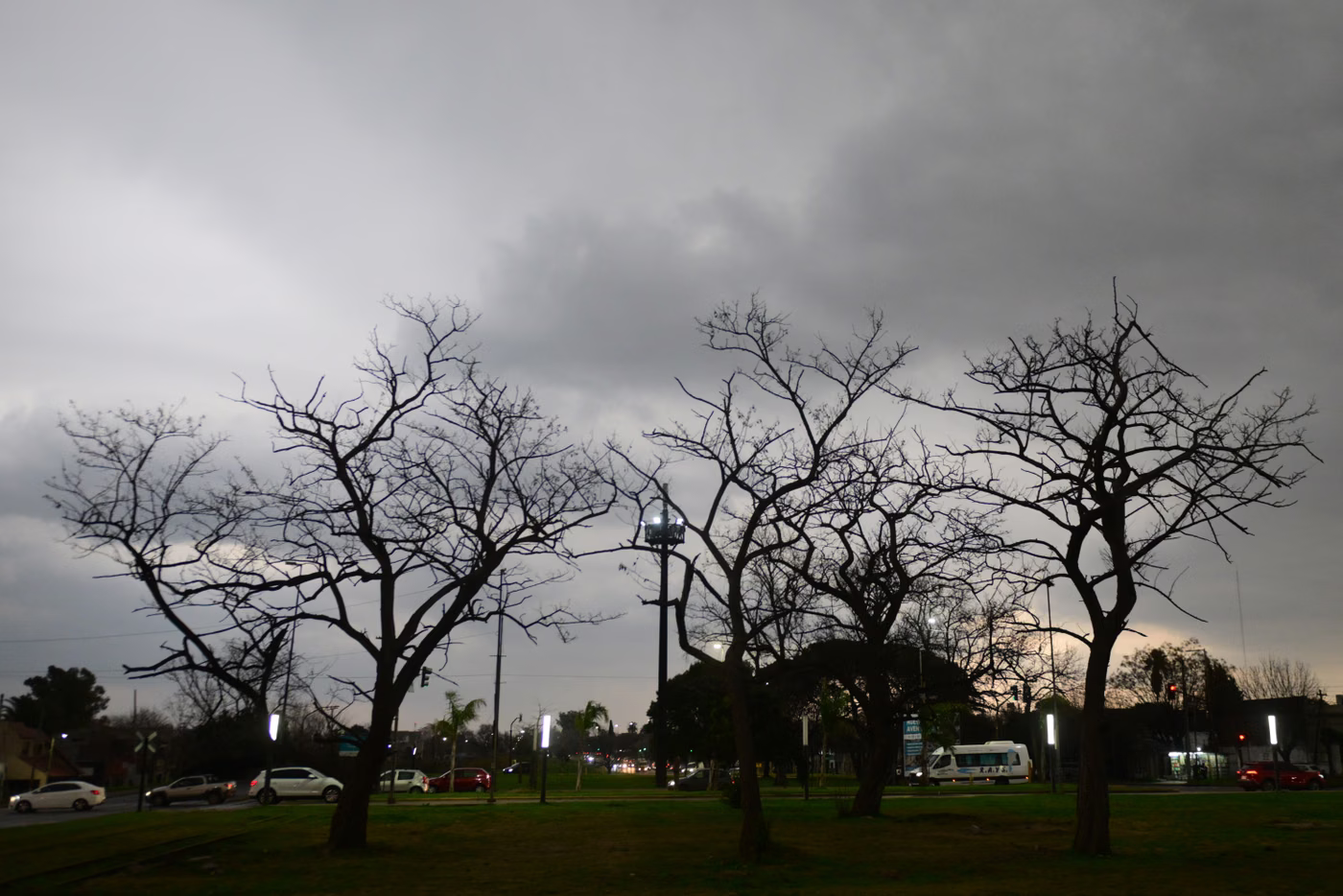 alerta amarillo La Plata
