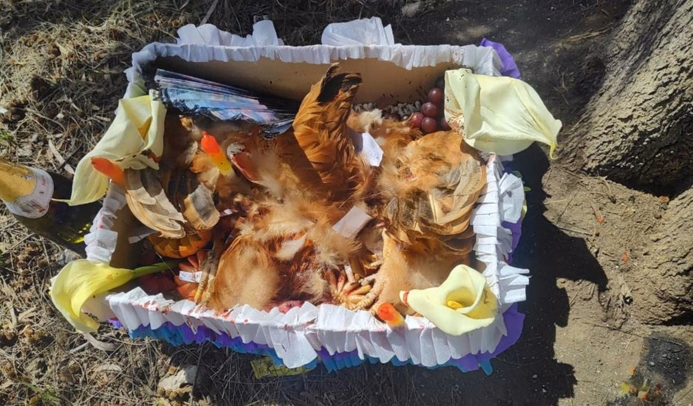 misteriosas cajas La Plata