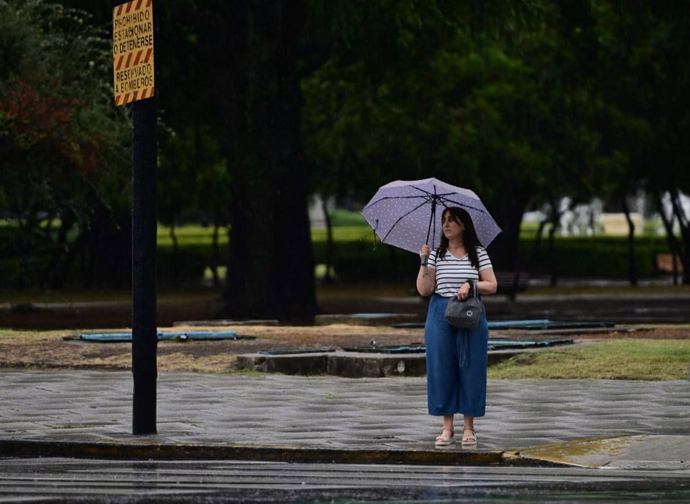 clima inestable en La Plata