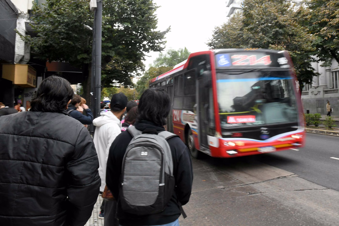 servicios municipales La Plata