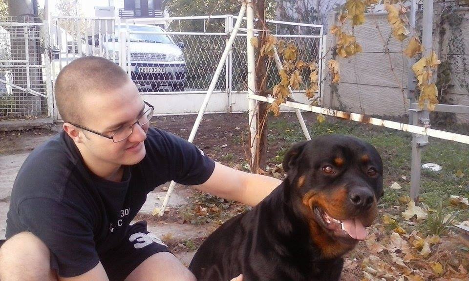 Mon Animal De Compagnie