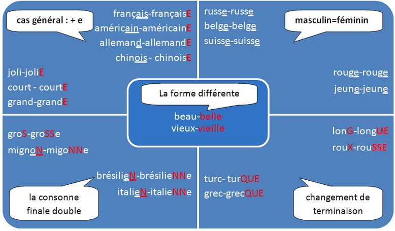 Afbeeldingsresultaat voor le féminin des adjectifs de nationalité