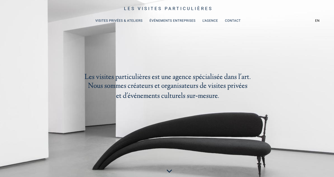lesvisitesparticulieres-website-screenshot