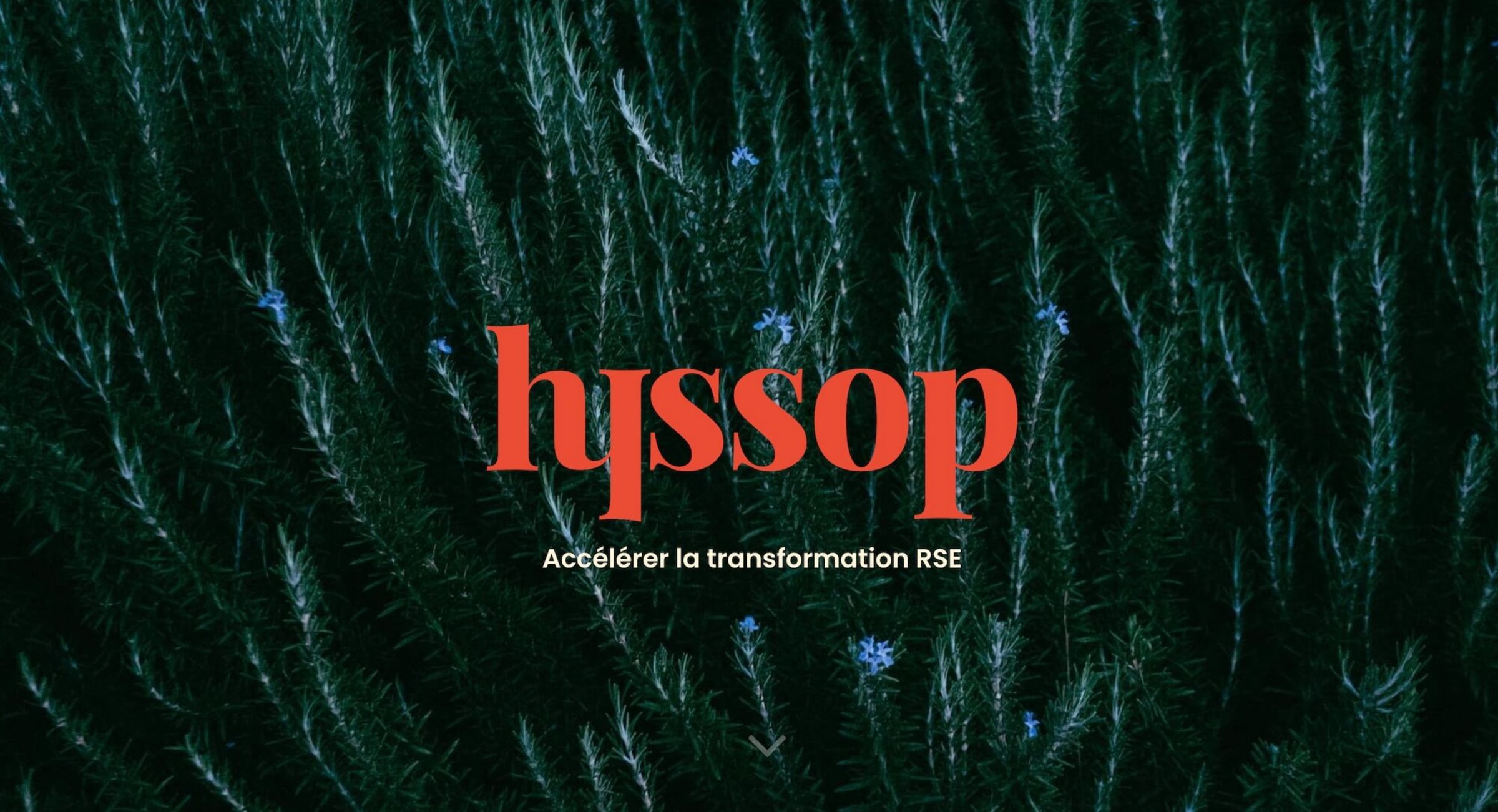 hyssop-website-screenshot