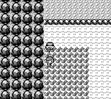 Pokémon Red frame showing a route bordered by water, tall grass, and a rocky wall