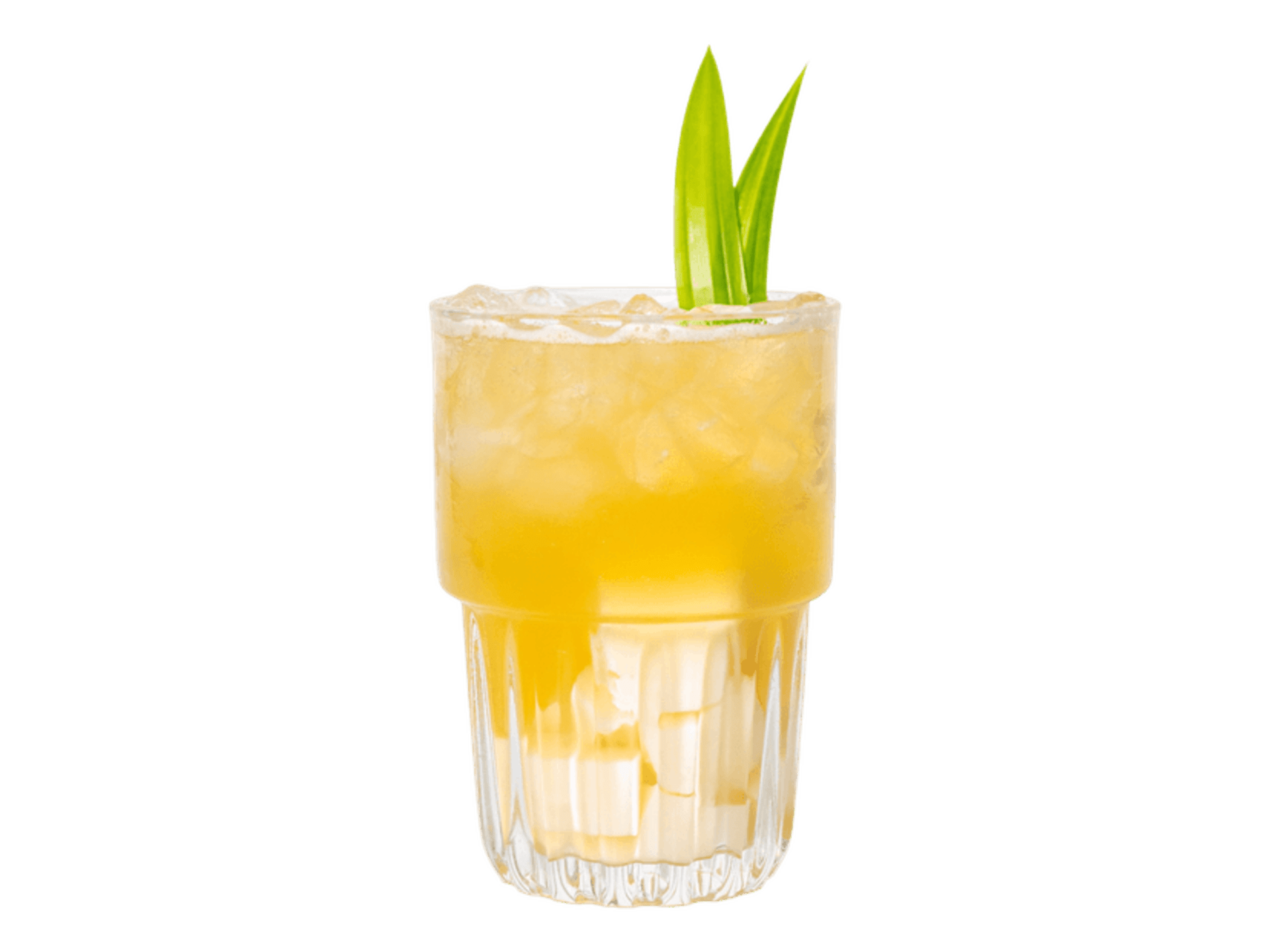 Trà Gạo Gừng — Hura Izakaya