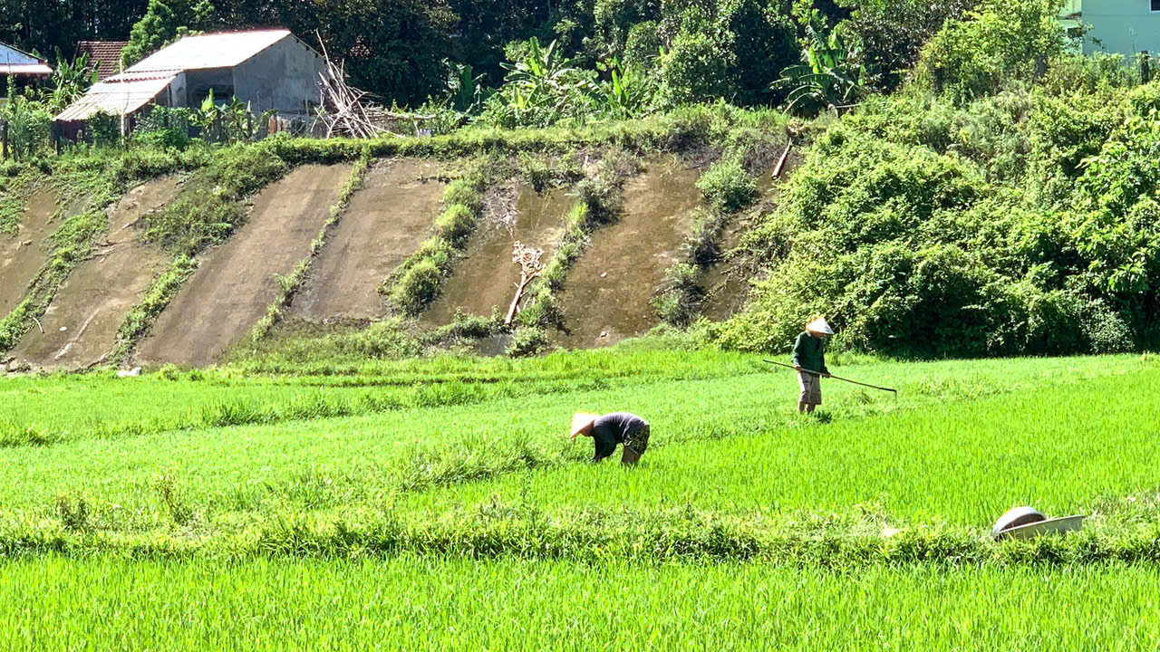 从特色农产品到桂福的社区旅游潜力