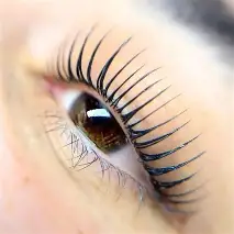 Korean Lash Lift Diploma ( NEW ) course