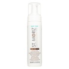 St Moriz Professional 1 Hour Fast Tan Mist 150 ml @