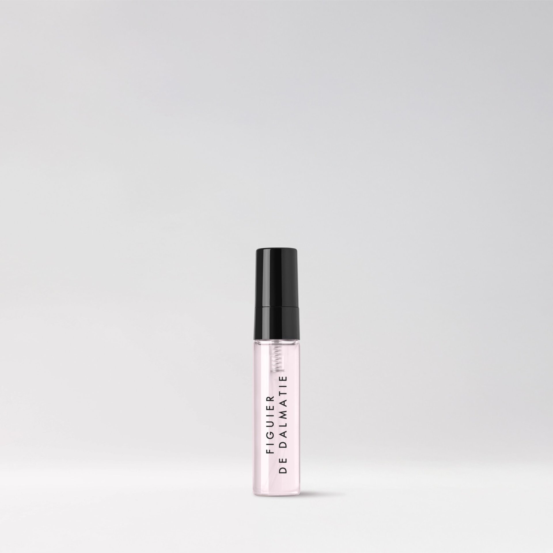 Gifting - Gifting 2025