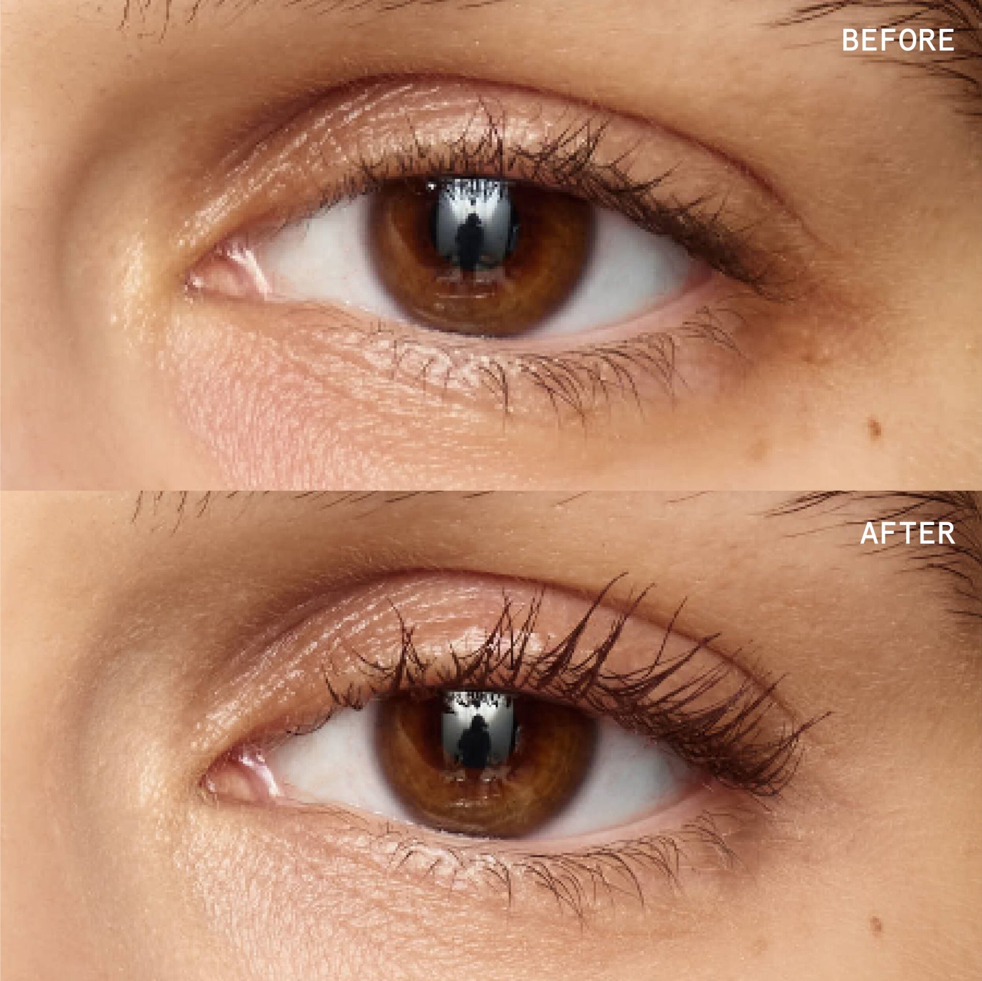 Model usage 2 years from Monday 23rd June 2025