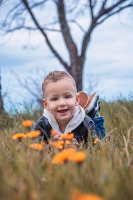Fotografije - Beata photography usluga - Fotografiranje Životinja