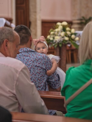 Fotografije - Beata photography usluga - Fotografiranje Životinja