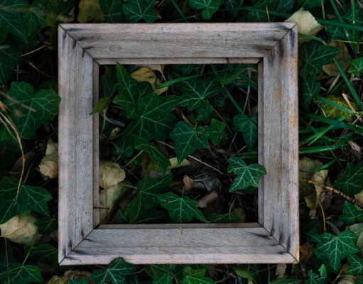 Fotografije - PhotoMellow usluga - Fotografija Portreta