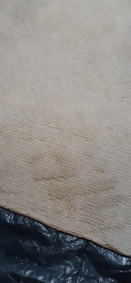 Fotografije - Zig zag M usluga - Čišćenje Poslovnih Prostora