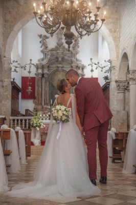 Fotografije - Beata photography usluga - Fotografiranje Životinja