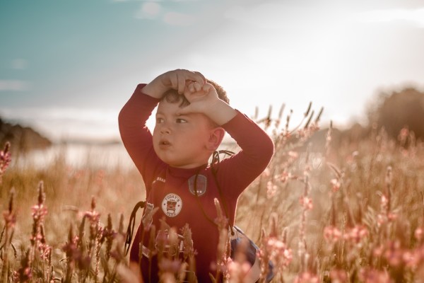 Fotografije - DZAMBO usluga - Fotografiranje Beba