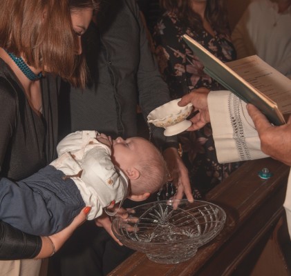 Fotografije - Beata photography usluga - Fotografiranje Životinja
