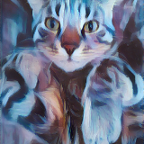 profilna fotografija AnaMeowRia
