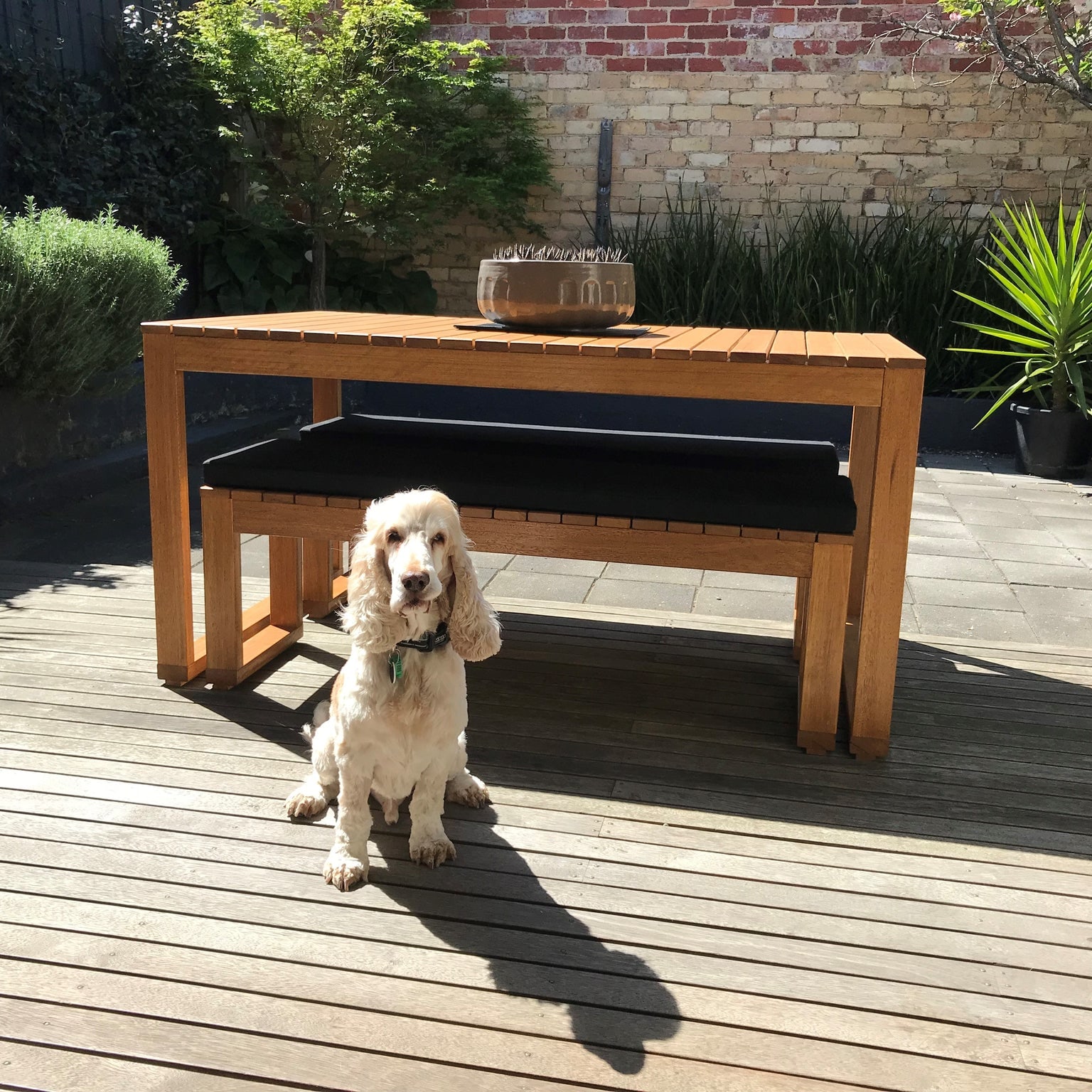 3 piece Outdoor Timber Dining Set - Exemplar Design