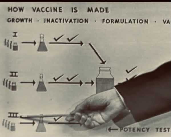 Polio Vaccine