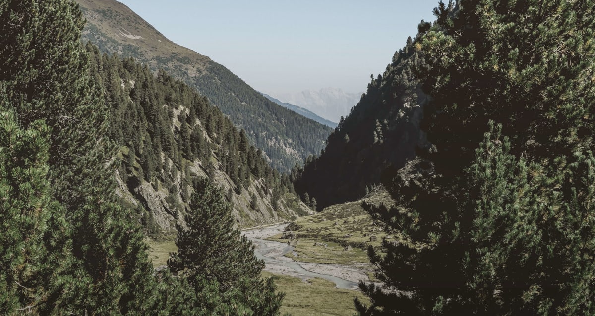 A river running through a forested valley