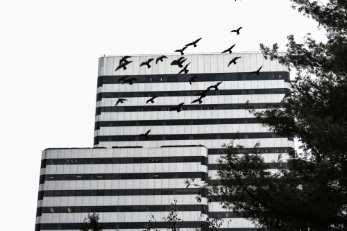 Image associated with Constant Change, Constantly 