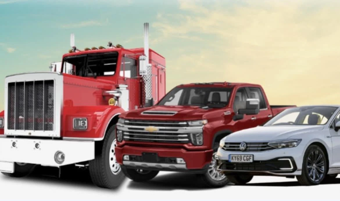 Big Dog Detailing logo — detailing & protection in Saint John, New Brunswick