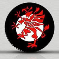 Casey Tire logo — tires & wheels in Miramichi, New Brunswick