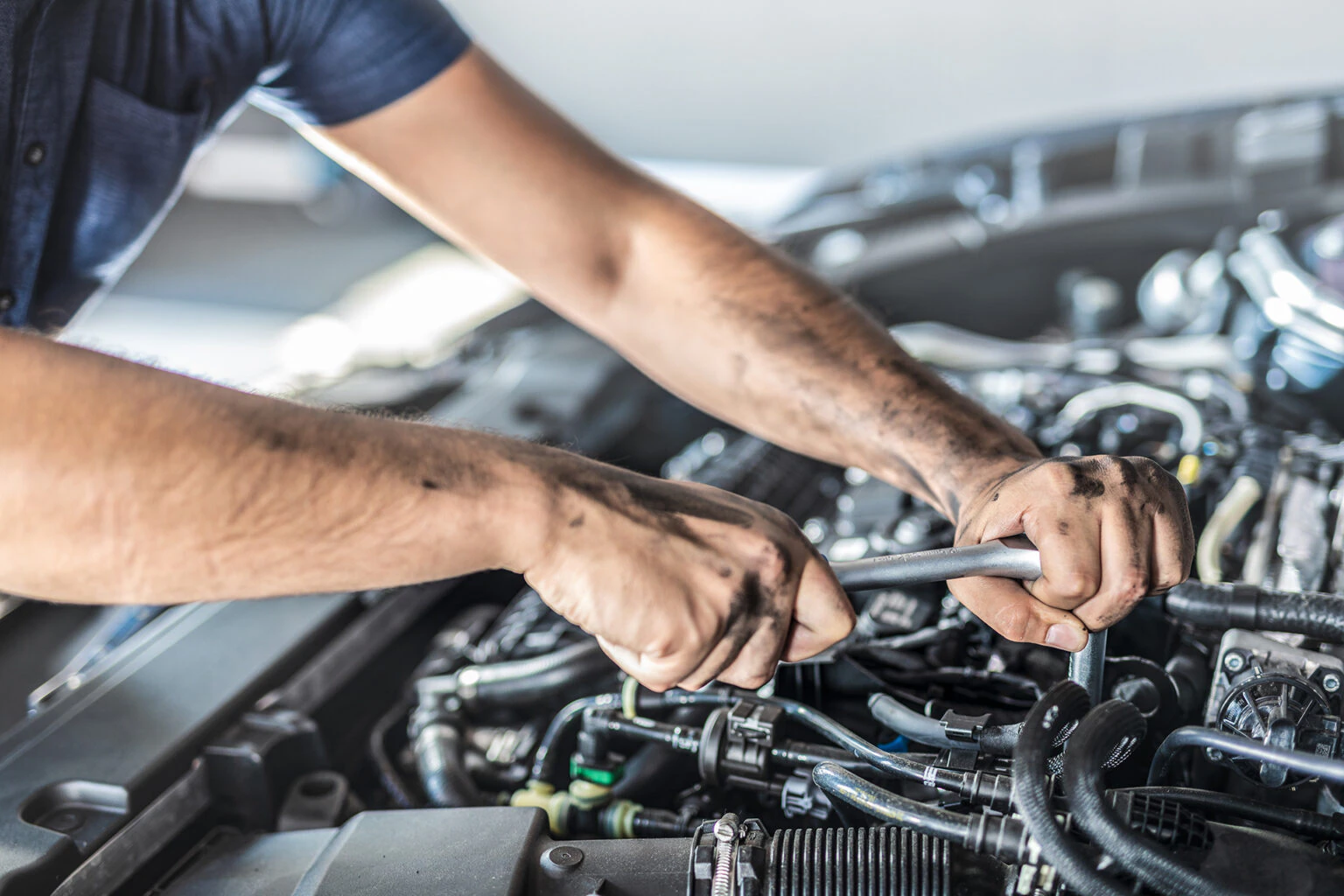 Stevo Auto Clinic — inspection in Calgary, Alberta