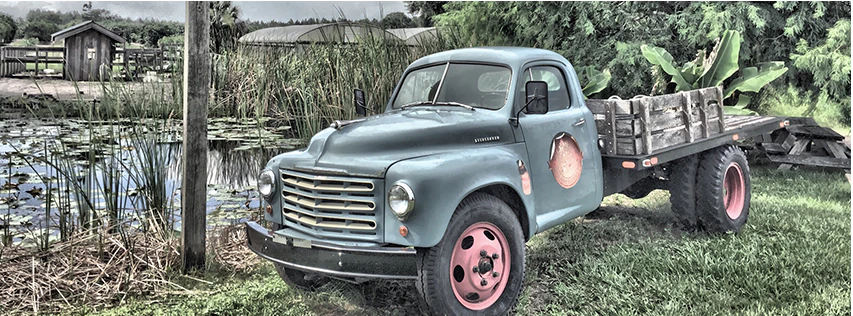 Paramount Tire — tires & wheels in Calgary, Alberta