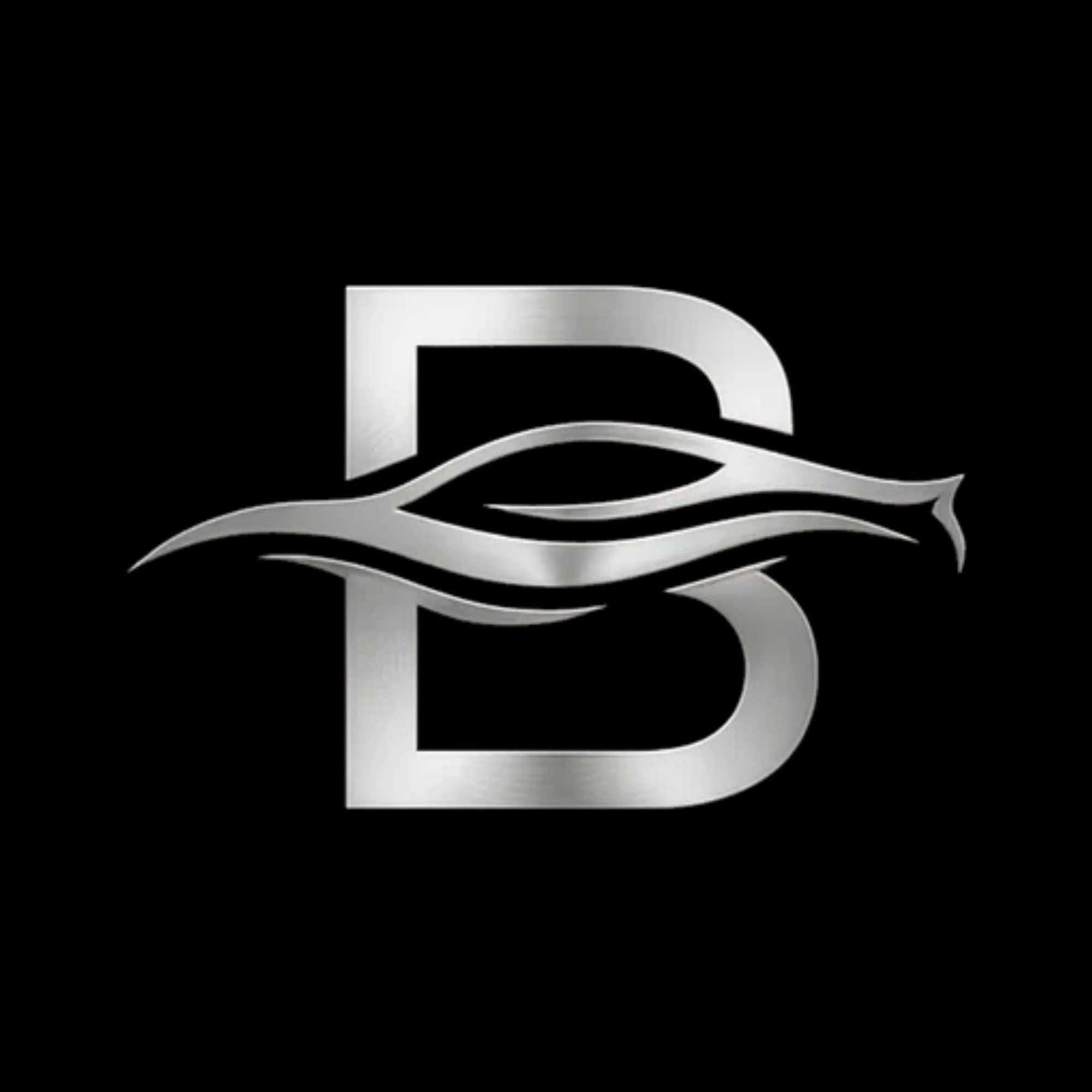 Berlyn'S Detailing logo — detailing & protection in Calgary, Alberta