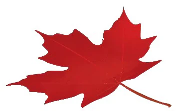 Canadian Dent logo — detailing & protection in Calgary, Alberta