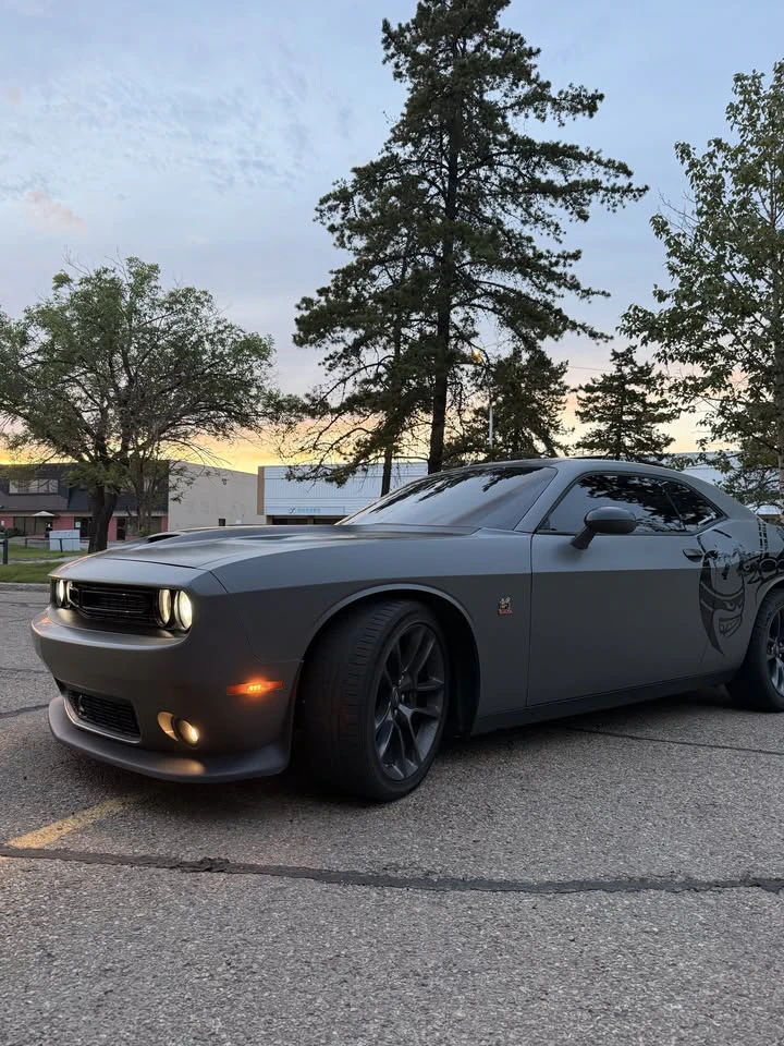 Stealth Customs — detailing & protection in Edmonton, Alberta