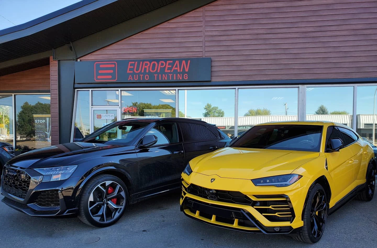European Auto Tinting — general repair & maintenance in Edmonton, Alberta