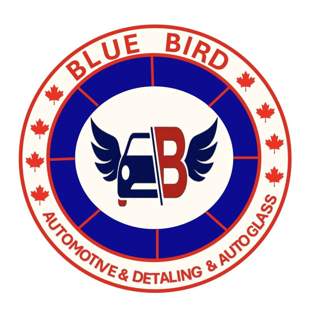 Blue Bird Automotive & Detailing logo — detailing & protection in Edmonton, Alberta
