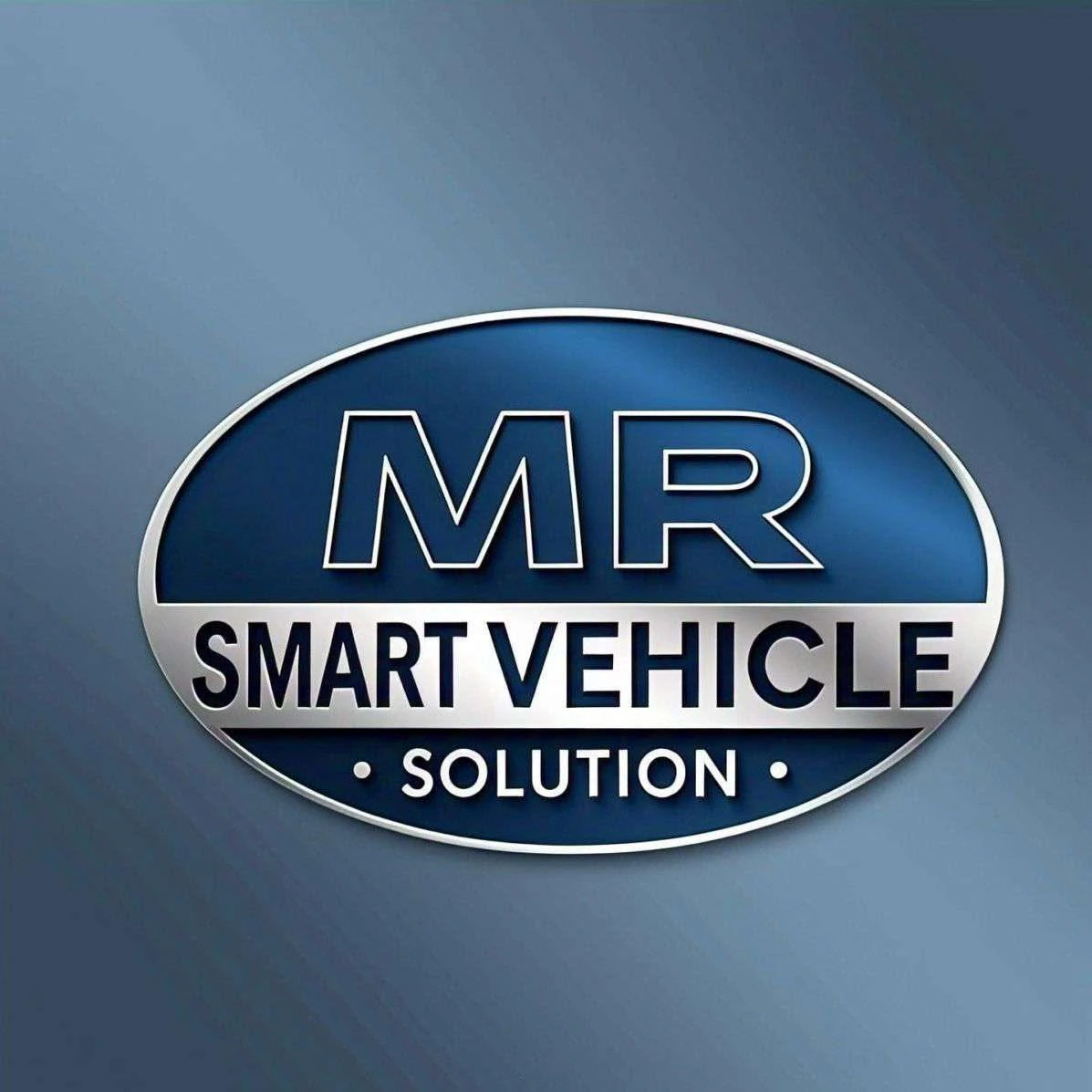 Mr. SMART MOBILE VEHICLE SOLUTIONS — general repair & maintenance in Edmonton, Alberta
