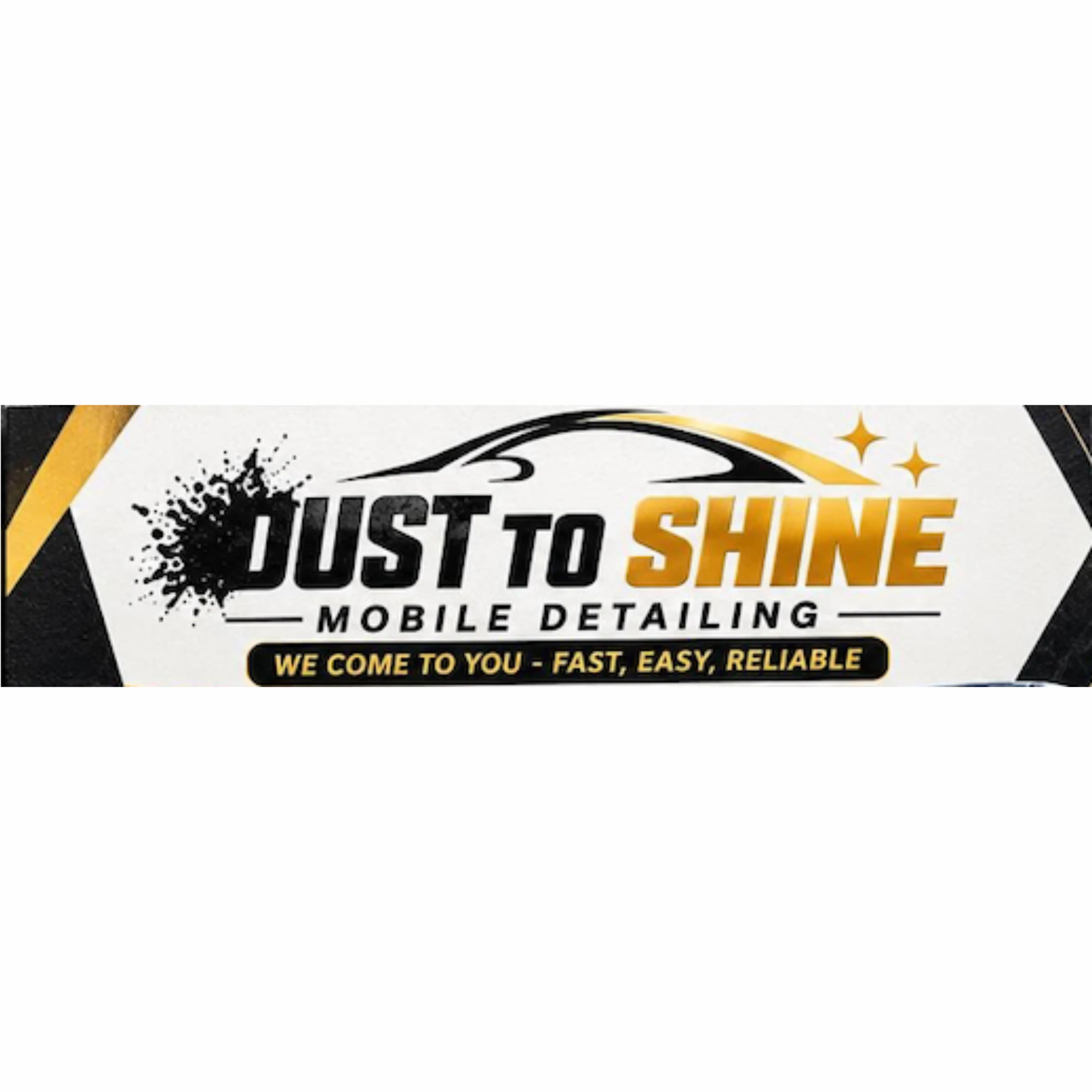 Dust To Shine Details logo — detailing & protection in Regina, Saskatchewan