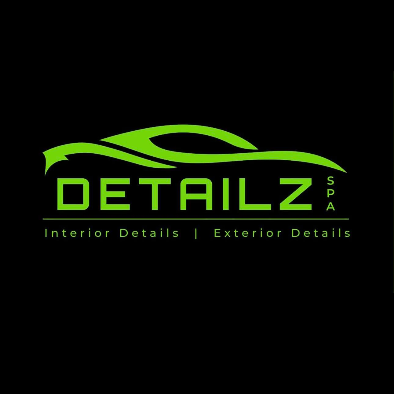 Detailz Auto Spa logo — detailing & protection in Regina, Saskatchewan