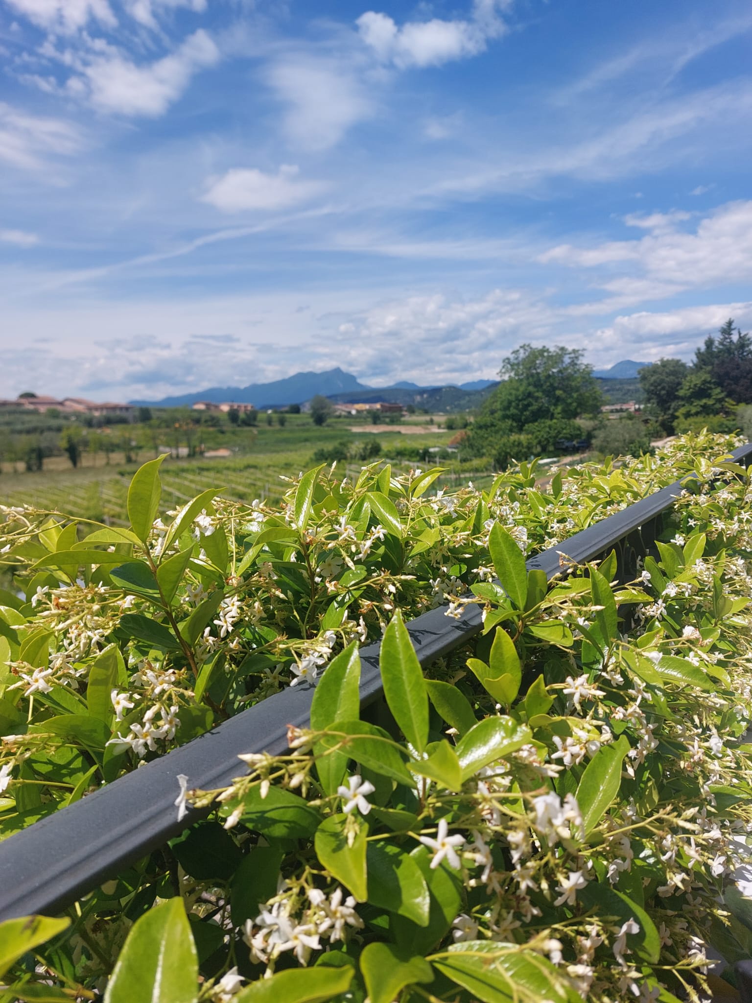 Vista panoramica dal terrazzo verso ovest - Bed Bardolino Bardolino