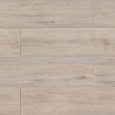 Titus 8x48 wood-look porcelain tile in Beige