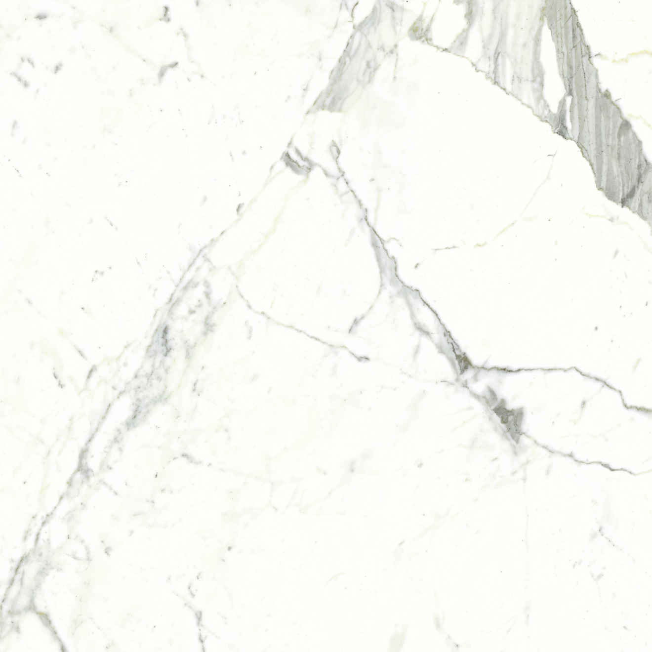 Magnifica 30 X 30 Floor Wall Tile In Statuarietto Bedrosians Tile Stone