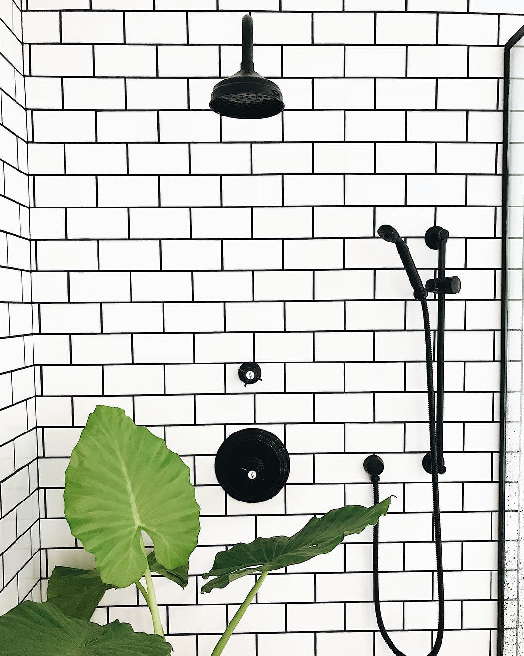 White Bathroom Tiles With Black Grout Everything Bathroom   Grout Designonstephens2 