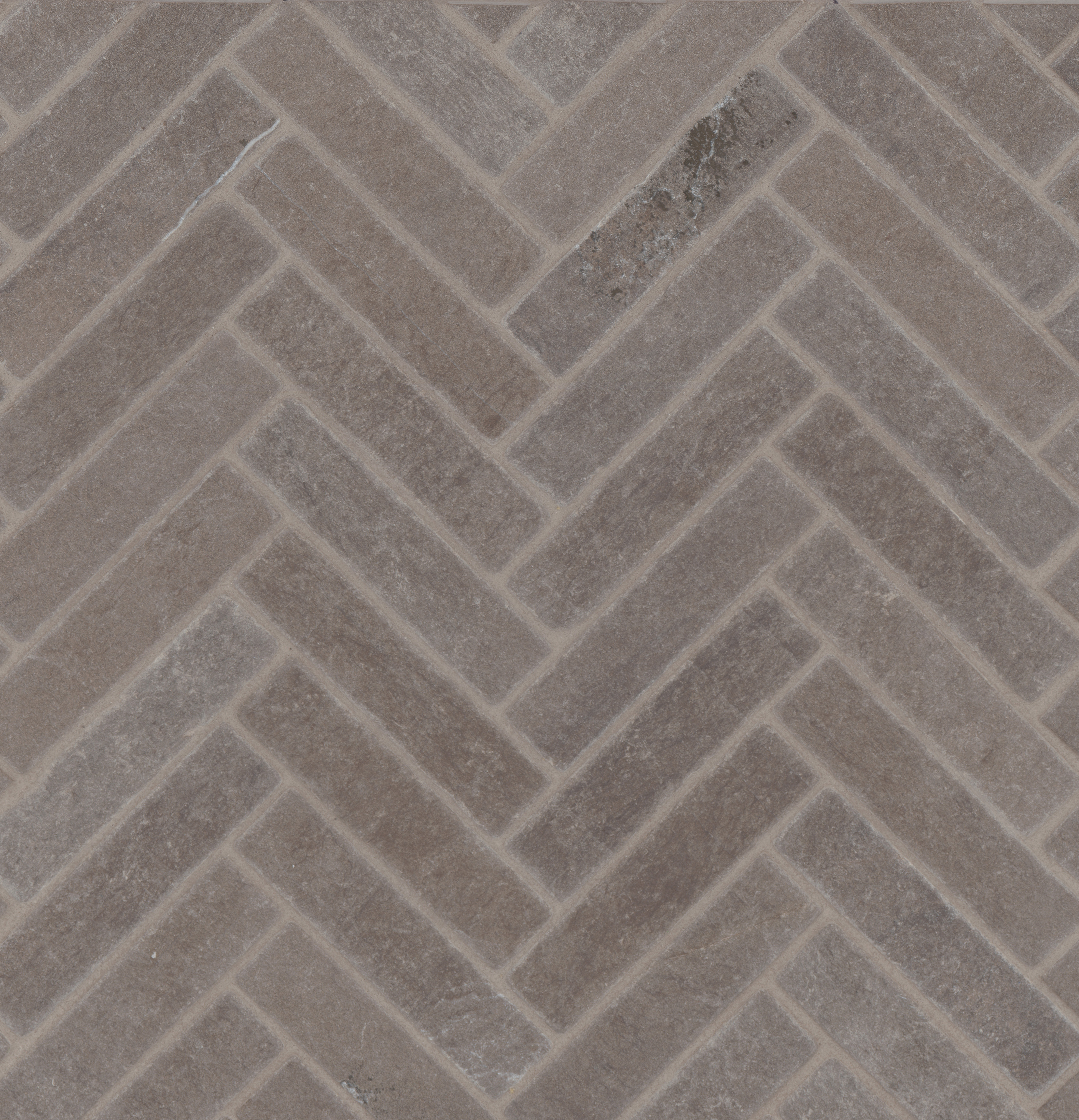100003859.jpg