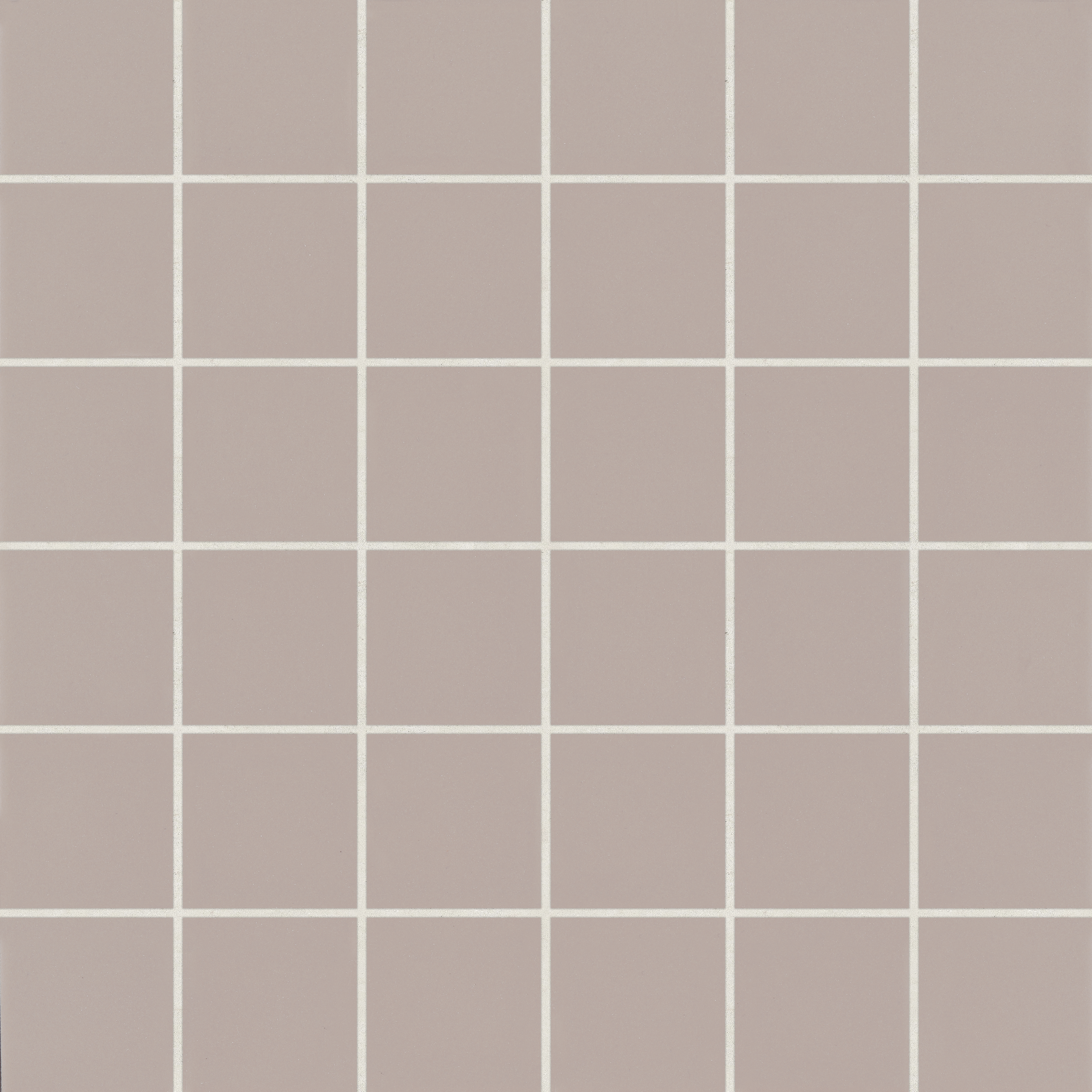 100004800.jpg