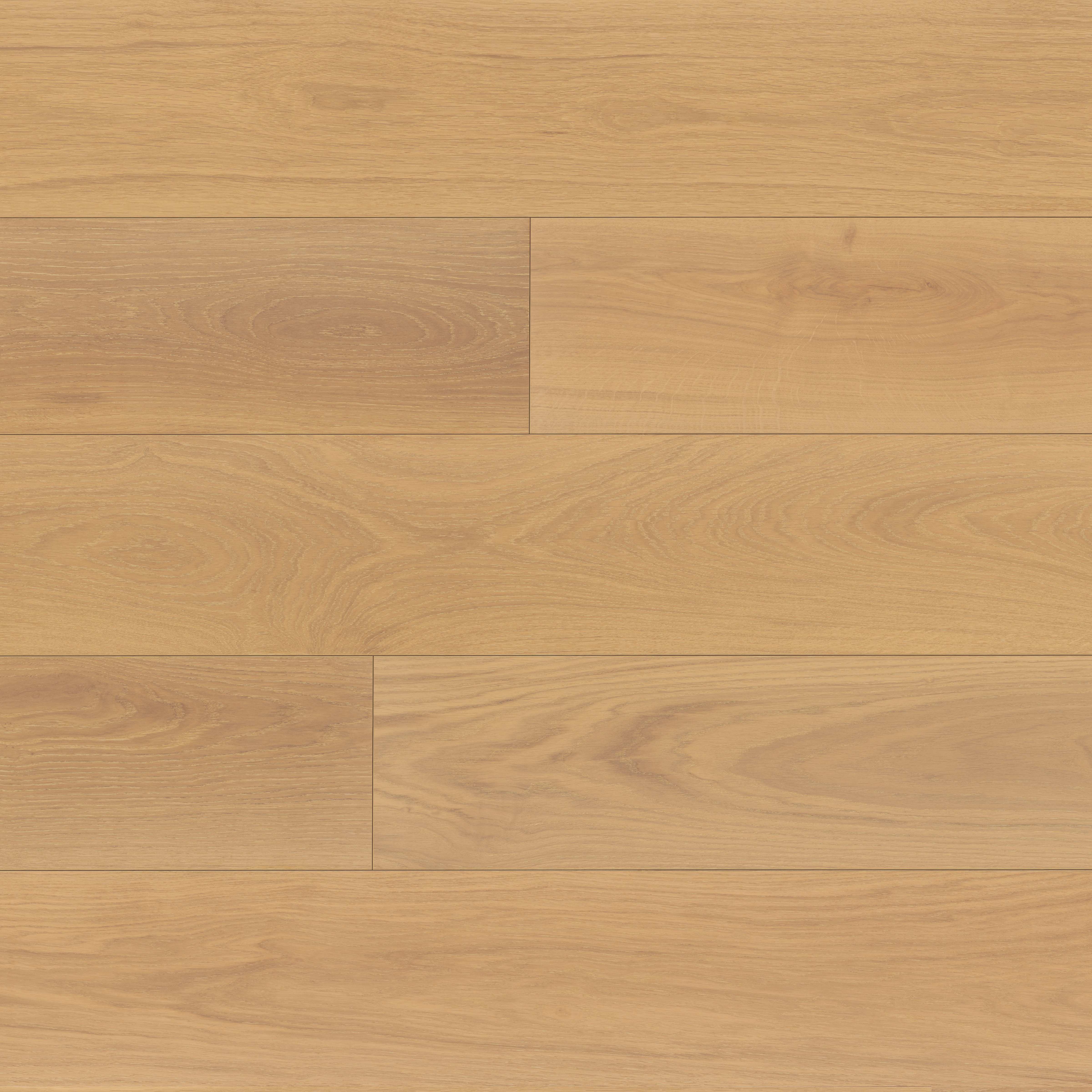 Laguna 9.5